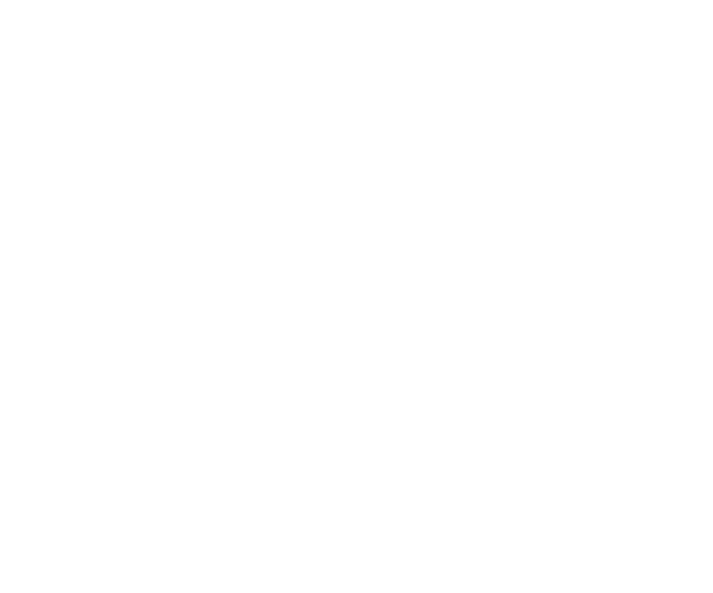 The Rise_Logo 2026